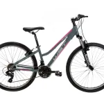 BICICLETA MONTAÑA WS031A – 26″ WST COSMO 21 VEL SEÑORA